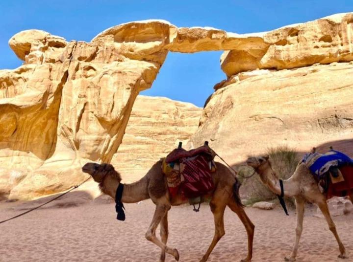 Desert Star Camp Wadi Rum Bagian luar foto