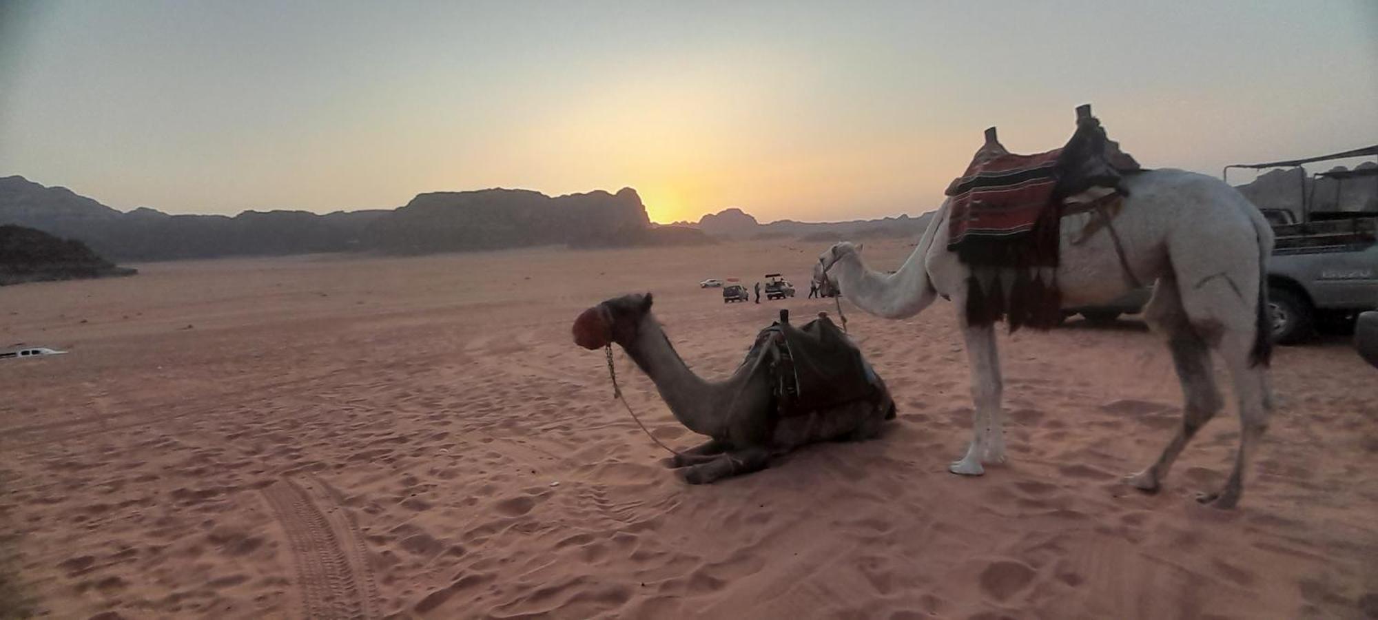 Desert Star Camp Wadi Rum Bagian luar foto